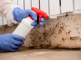 Best Asbestos and Lead Testing During Mold Inspection in USA